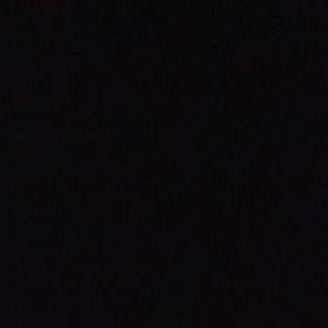 Meet your Posher, Lacy